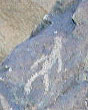 inscription canyon artwork
