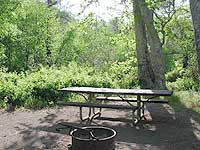 National Forest Campgrounds