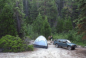 sequoia camping