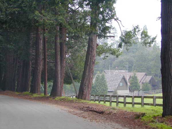 sequoia cabins