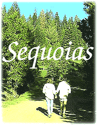 Sequoia Parks