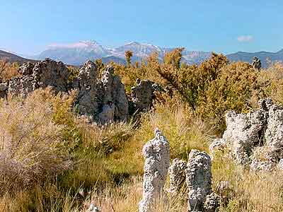 Sierra Nevada backdrop