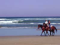 horseback beach