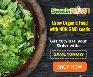 Non GMO Seeds