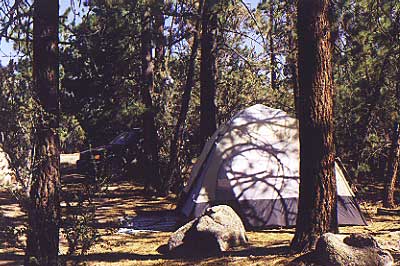Big Bear Campsites