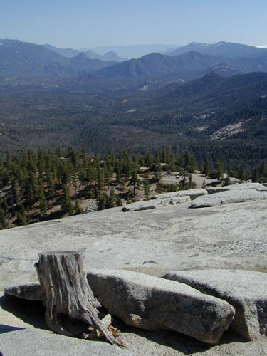 Sequoia Dome Rock