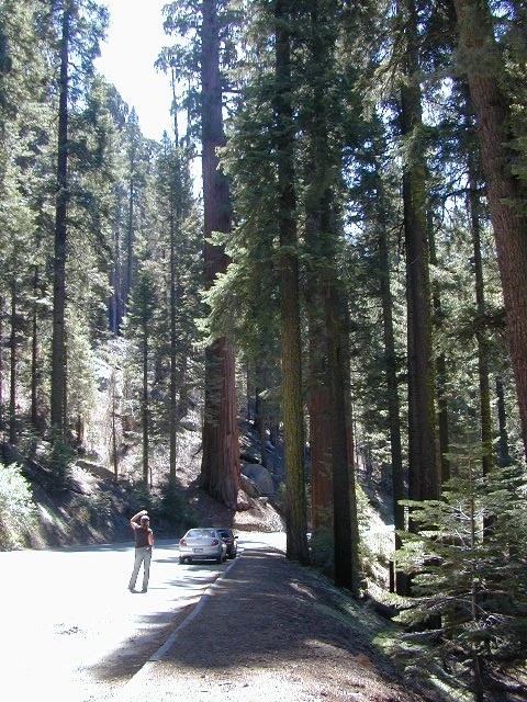 Sequoia Highway Map
