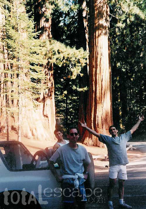 California Sequoia Parks