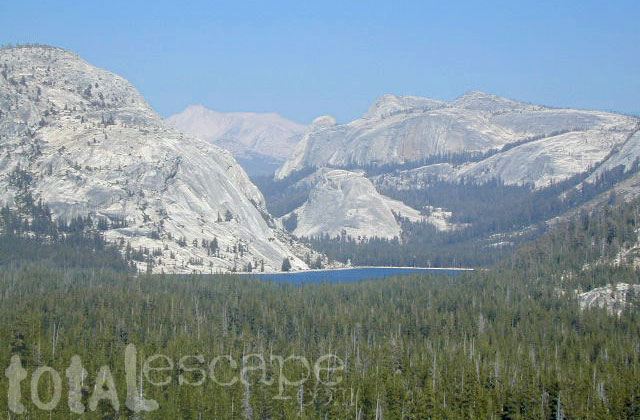 Teneja Lake, Hwy 120. Yosemite National Park