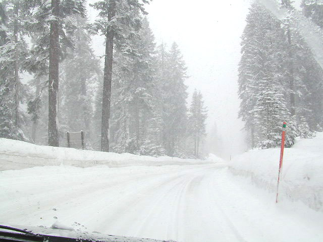Winter Snow in Sierra Nevada Mountains