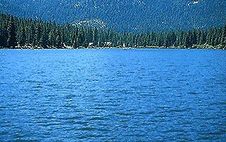 hume lake Sequoia