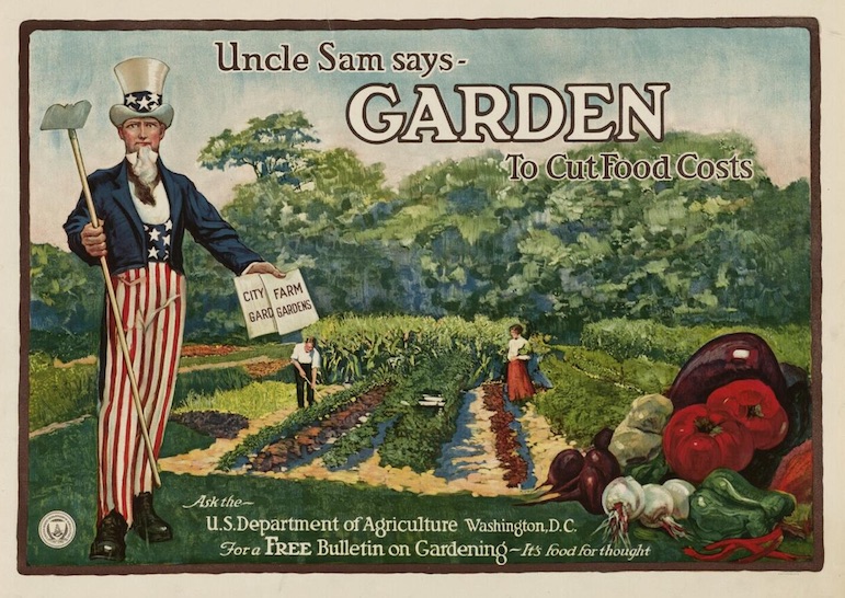 grow a food garden