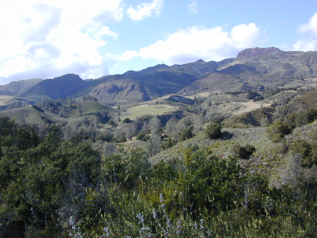 figueroa mountain