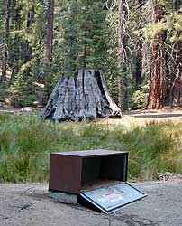 Bear Box in Mineral King Campground
