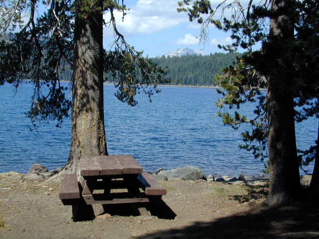 Juniper Lake Table