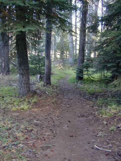 horse meadow trails
