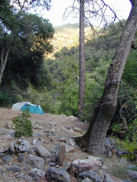 Sierra Creek Camping