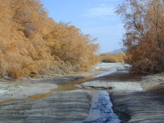 Vallecito Creek