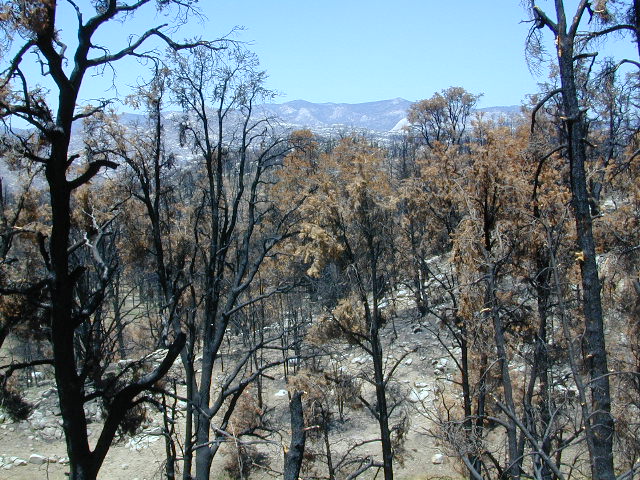Manter Fire, Dome Land Wilderness
