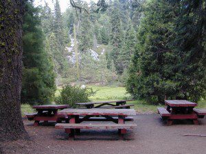 Sequoia Group Campground