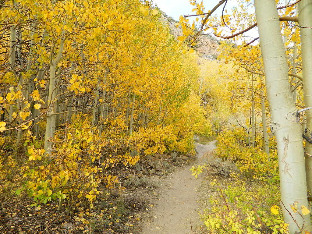 Autumn Bliss Hike