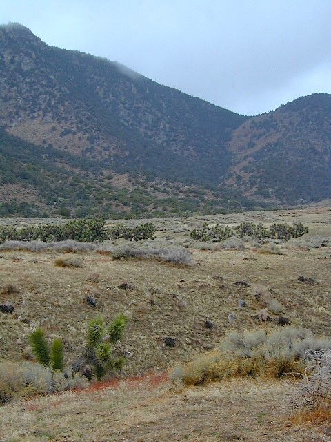 Horse Canyon Mojave