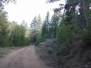 log cabin mine road