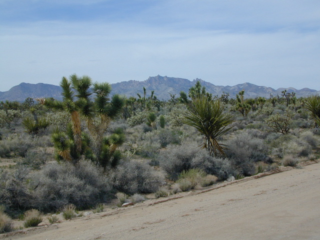 Mojave Road Trail