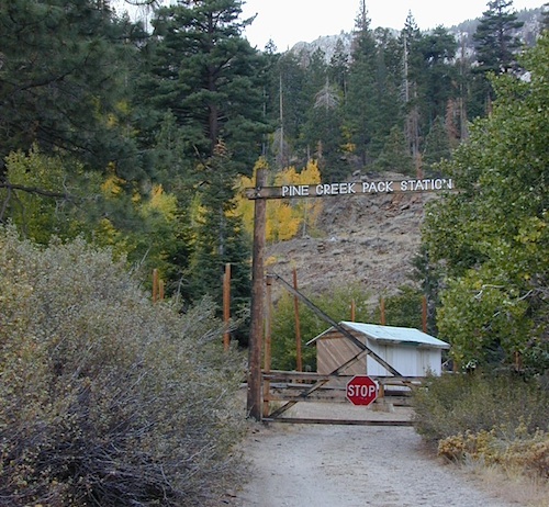 pine creek pack station