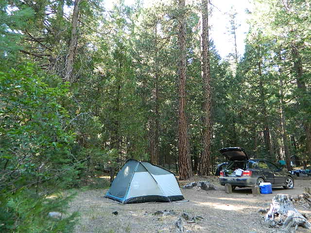 campsite 8