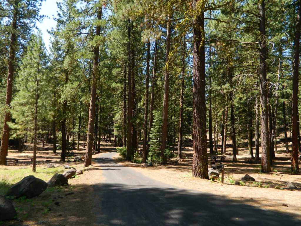 paved camp loop