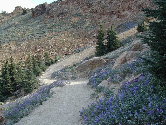 Lassen Peak Trail
