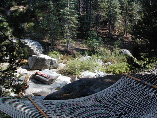 sierra creek & hammock