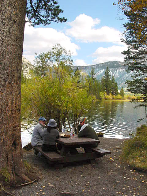 silver lake picnic